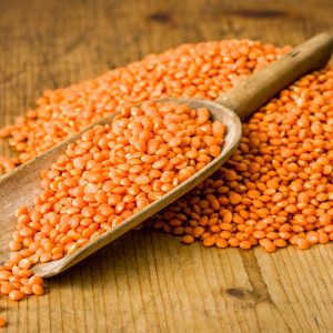 মসুর ডাল (নিপা)